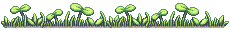 plants plants